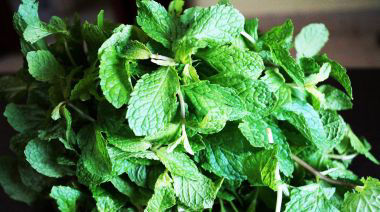 garnishing-instructions-image